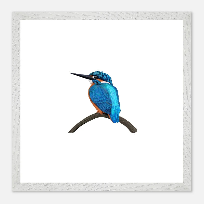 A square framed art print featuring a vibrant blue and orange kingfisher perched on a dark branch against a white background, enclosed in a light gray textured frame.