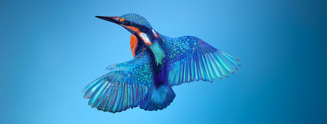 Discovering the Enchanting World of Kingfishers