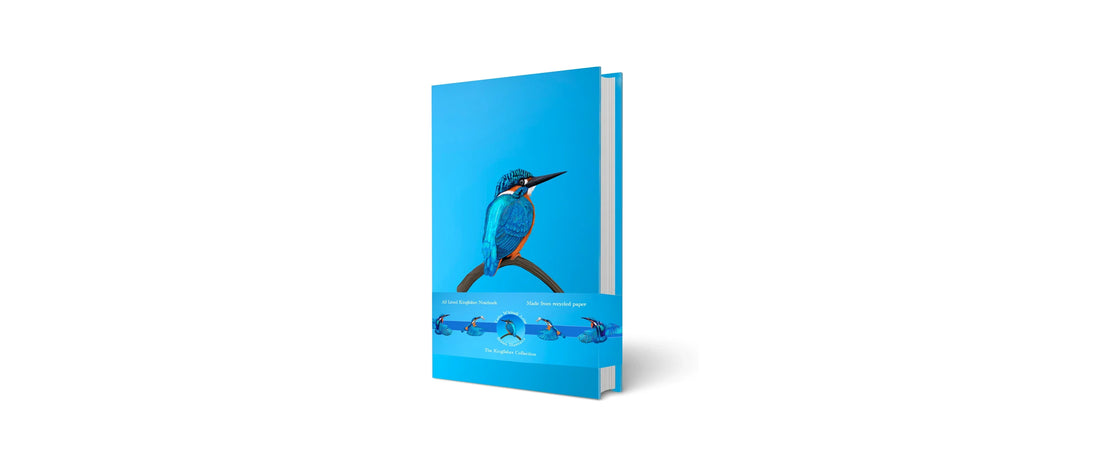 12 Best Nature Inspired Desk Accessories