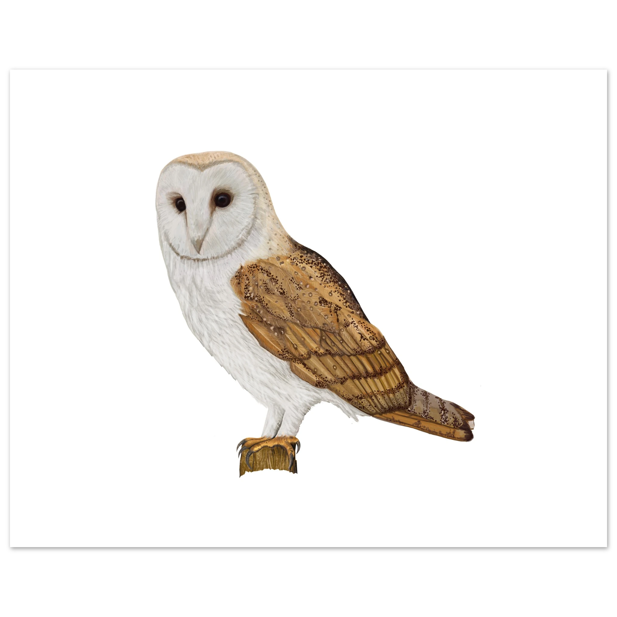 0a710142-76e6-44f3-9652-4ea9c68f4b92