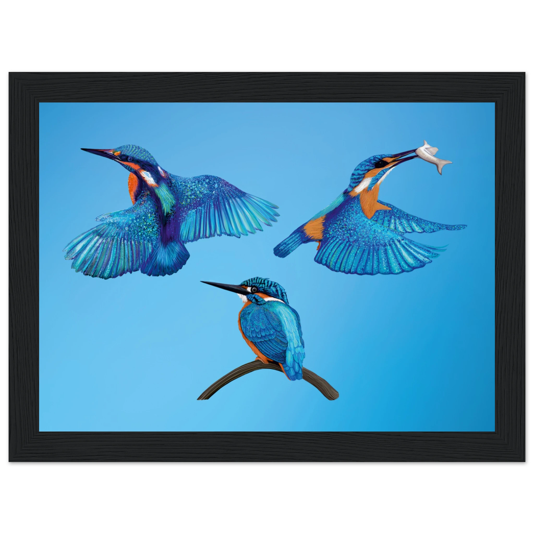 26fcca01-f102-491b-8235-0118c0f8b7b9