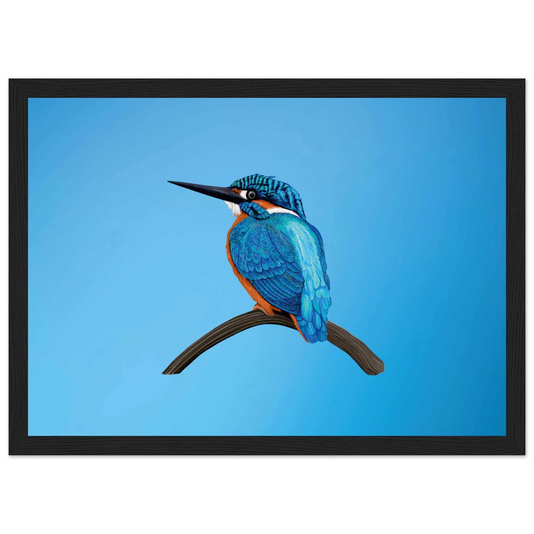 2ac95b65-edef-41c2-92f2-8b2bc797b71e