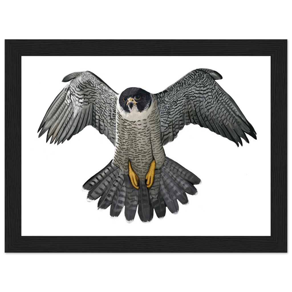 2c5aa602-7bed-4955-ab5f-12dc988a3543