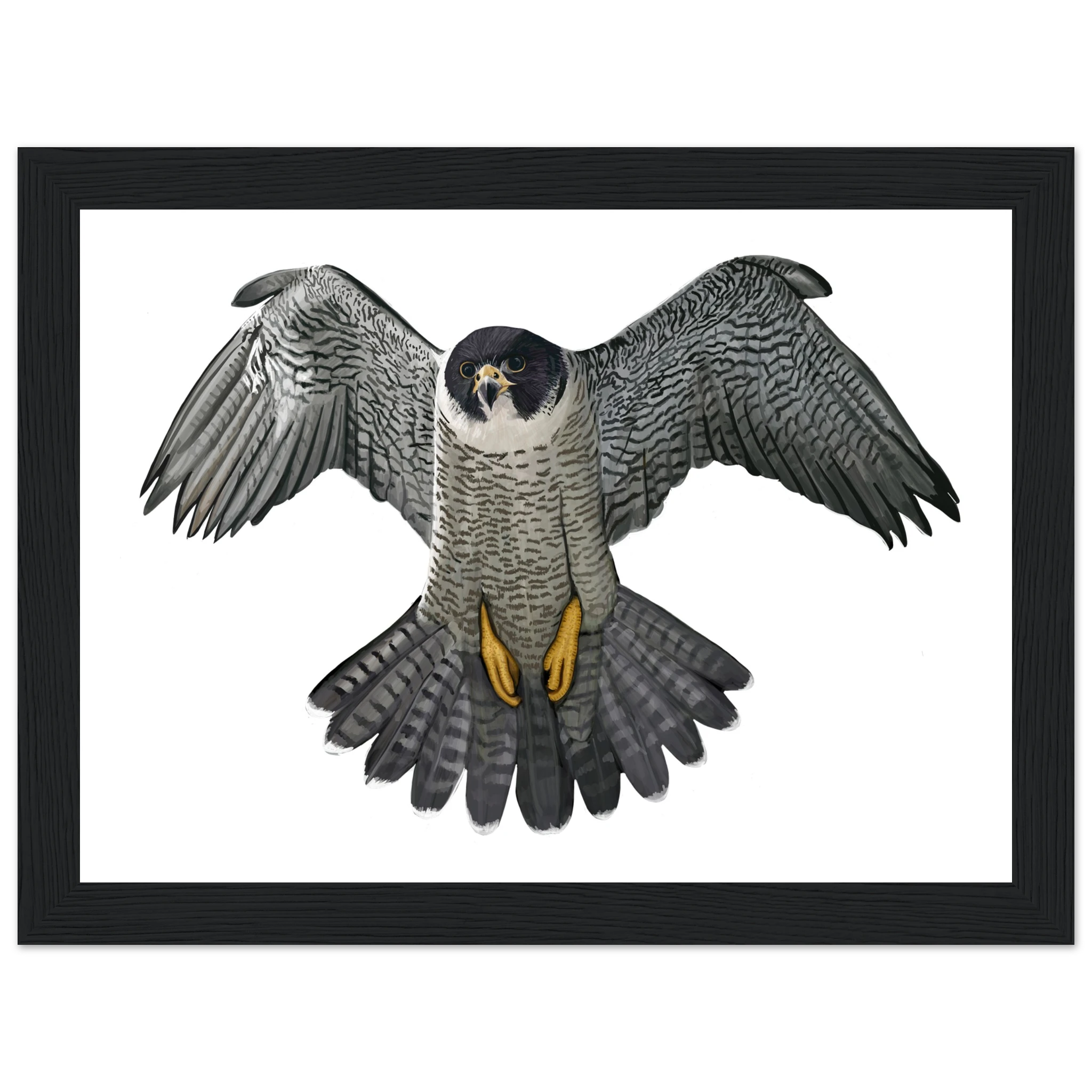 2c5aa602-7bed-4955-ab5f-12dc988a3543