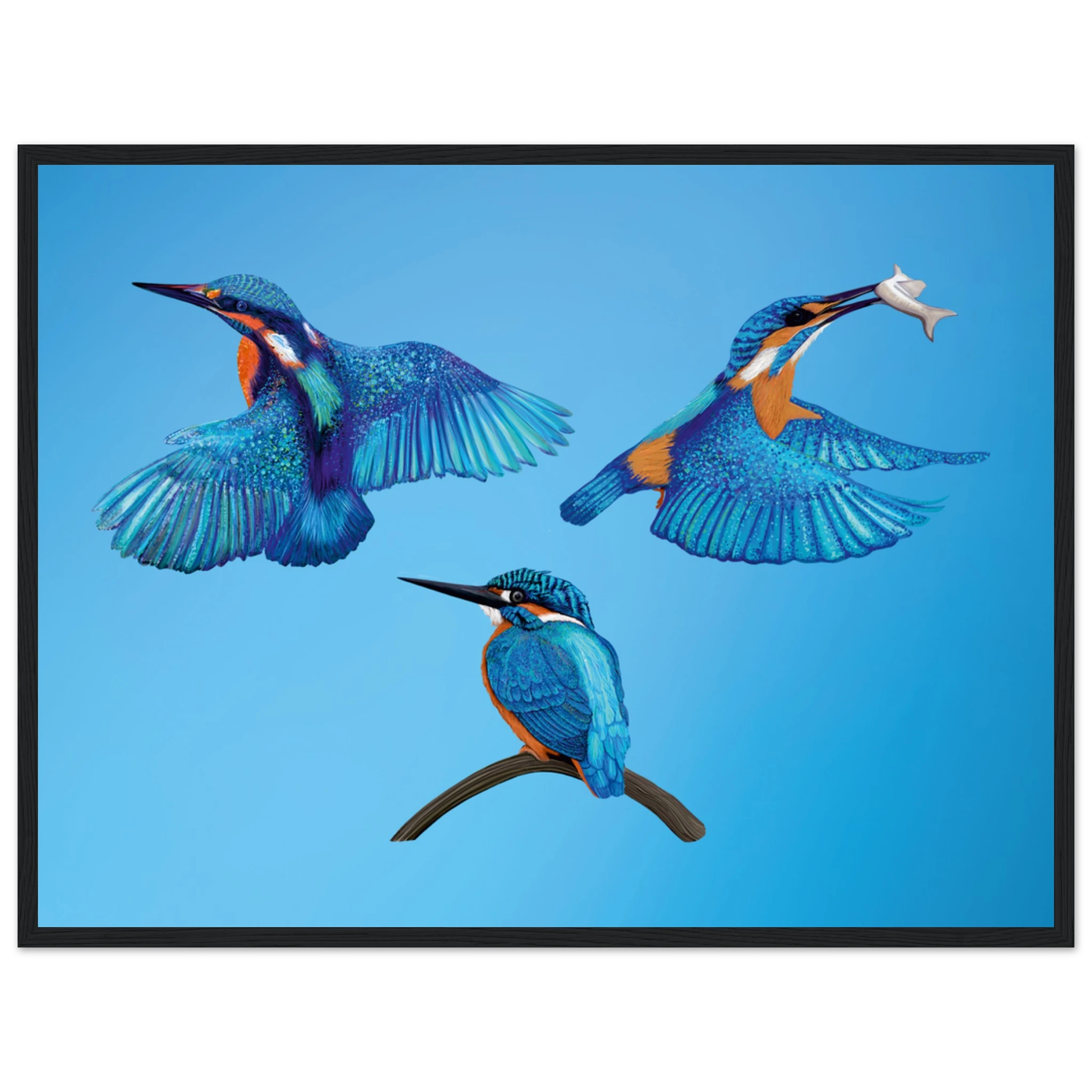 2fb7f2f9-19b5-4154-9d1a-74fe622c460a