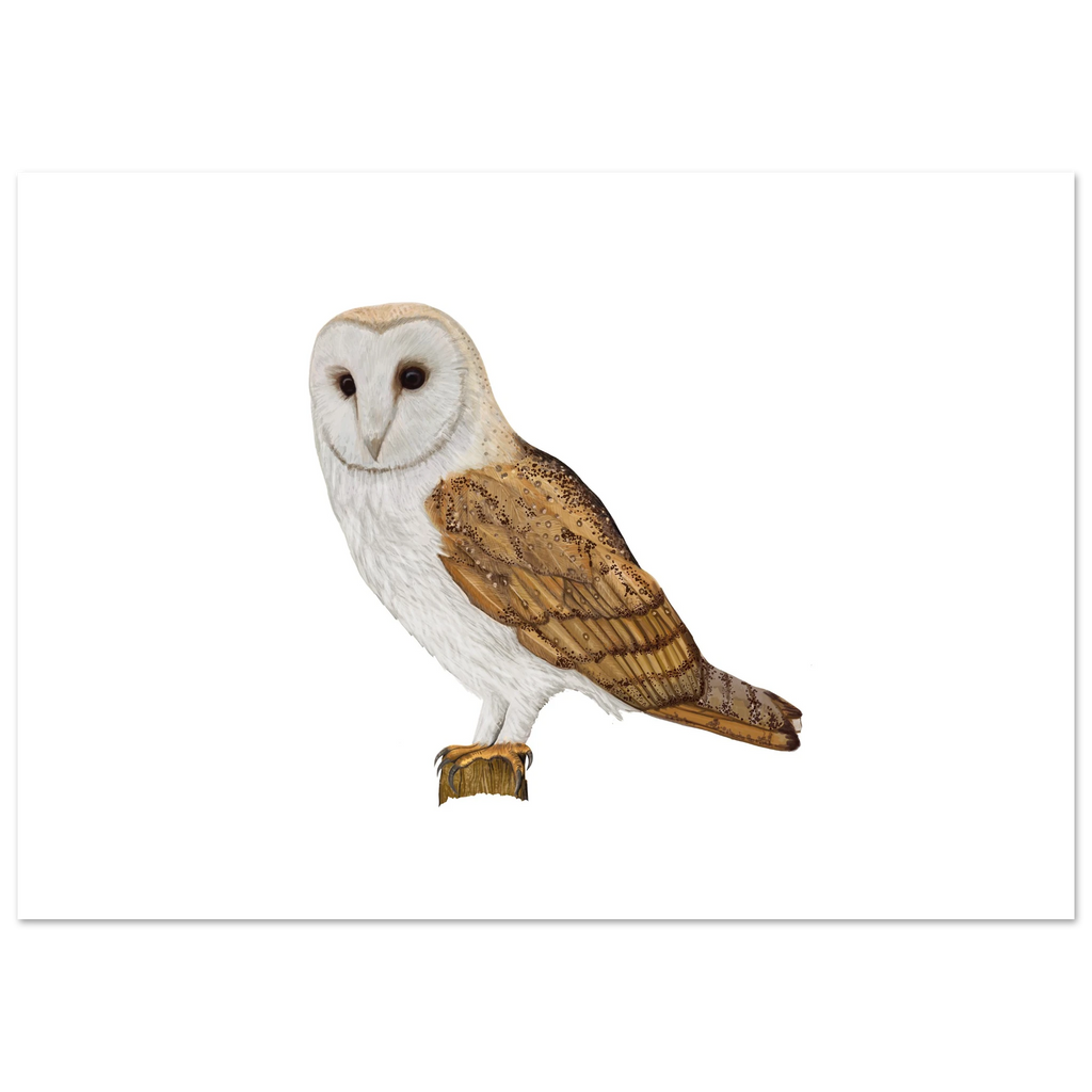 39de7026-53fe-46ae-a6af-826ee5ea822b