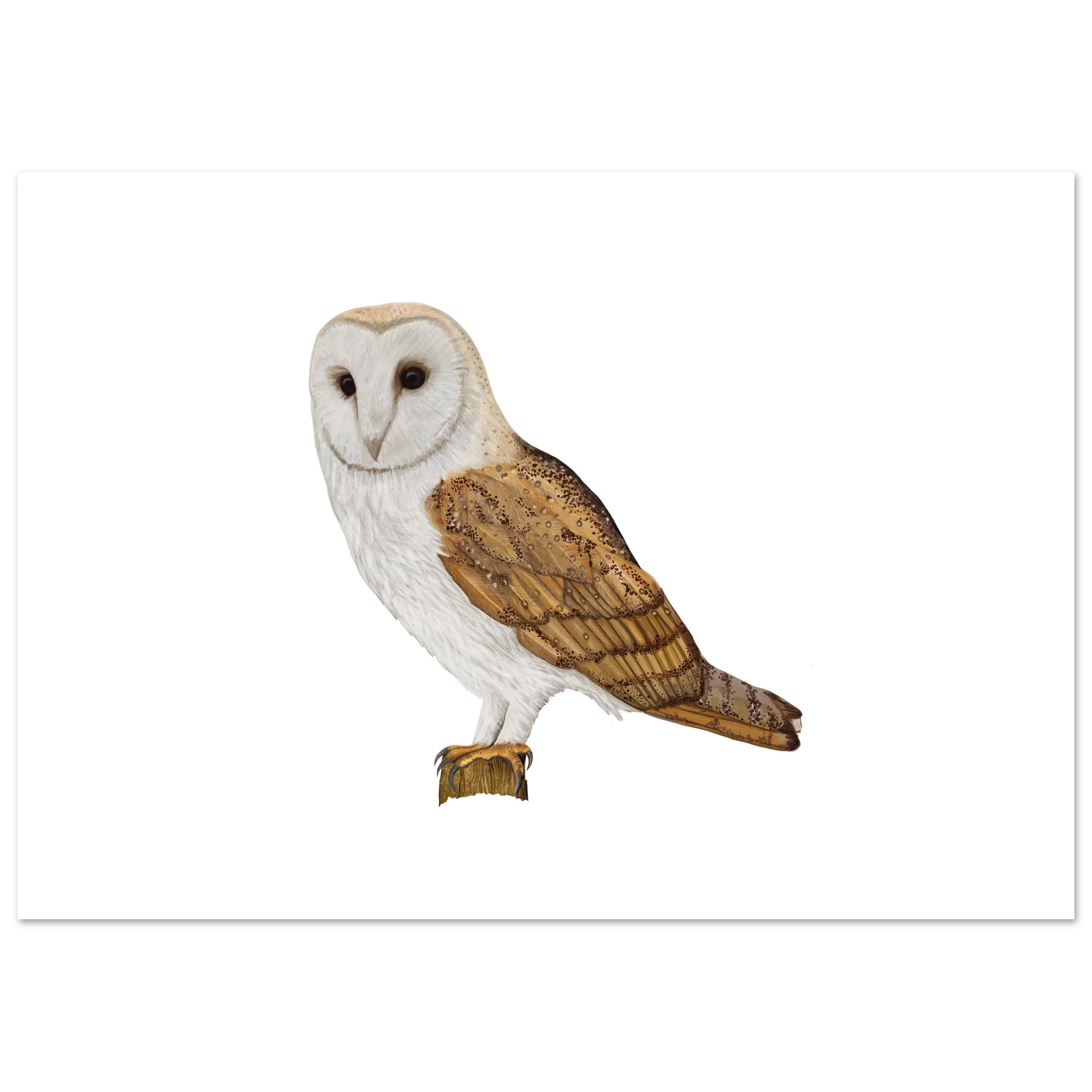 39de7026-53fe-46ae-a6af-826ee5ea822b