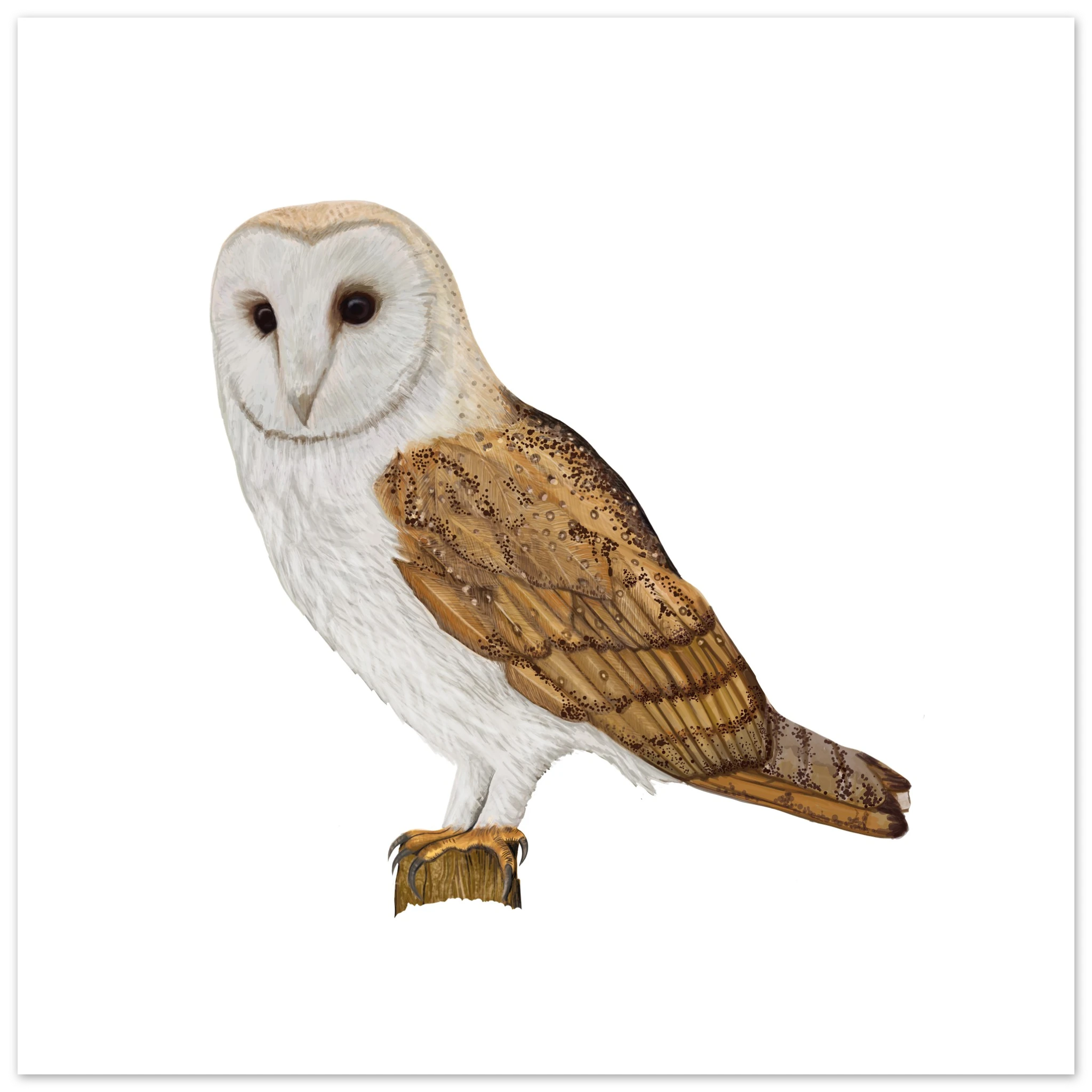 72b95de4-0e06-41de-a9bc-e8f713ccba23