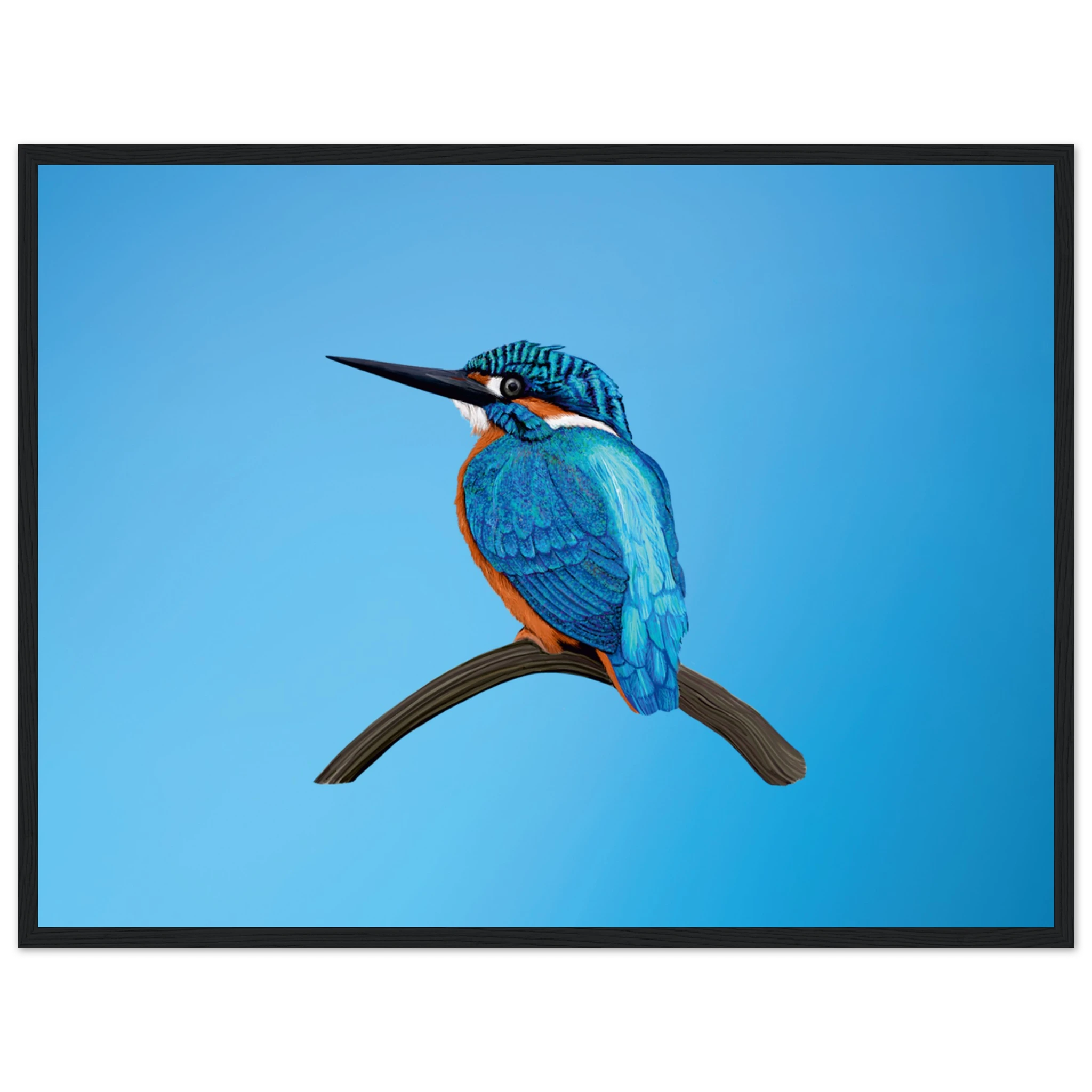 732b7c2e-e405-414d-a563-e7ad9ddc7f70