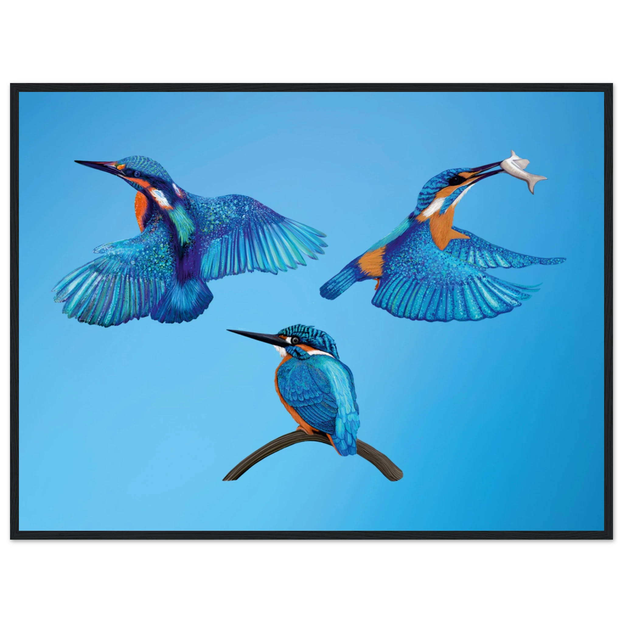 853e3b6d-8c21-4e84-883a-174aa422659f