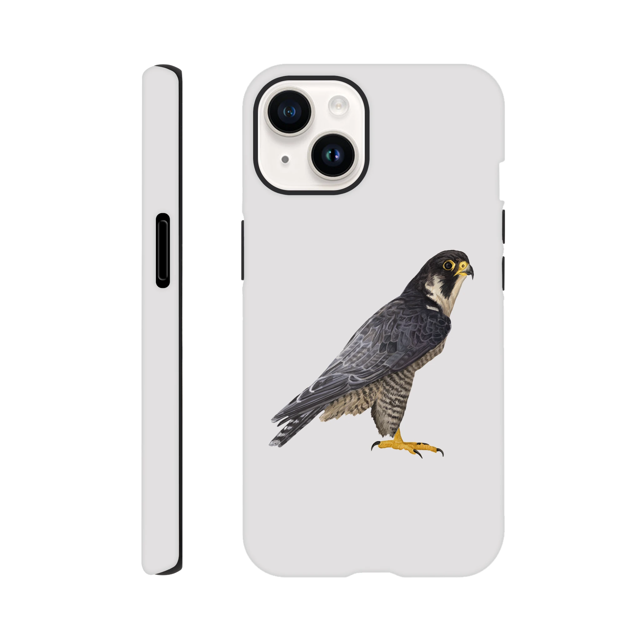 8b7eebfe-a90a-42f1-a172-8f33d96a3e88