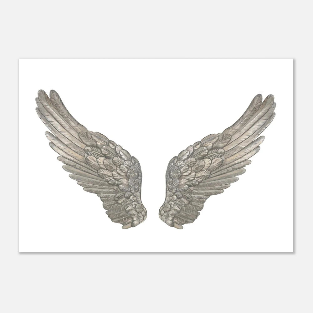Angel Wings 1