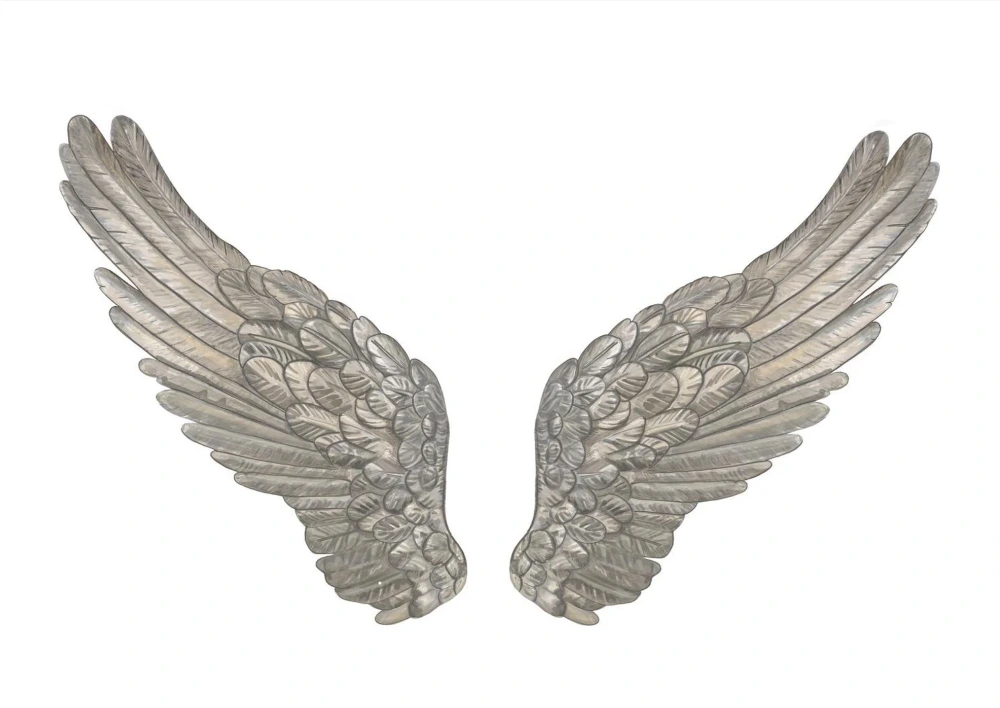Angel Wings 8