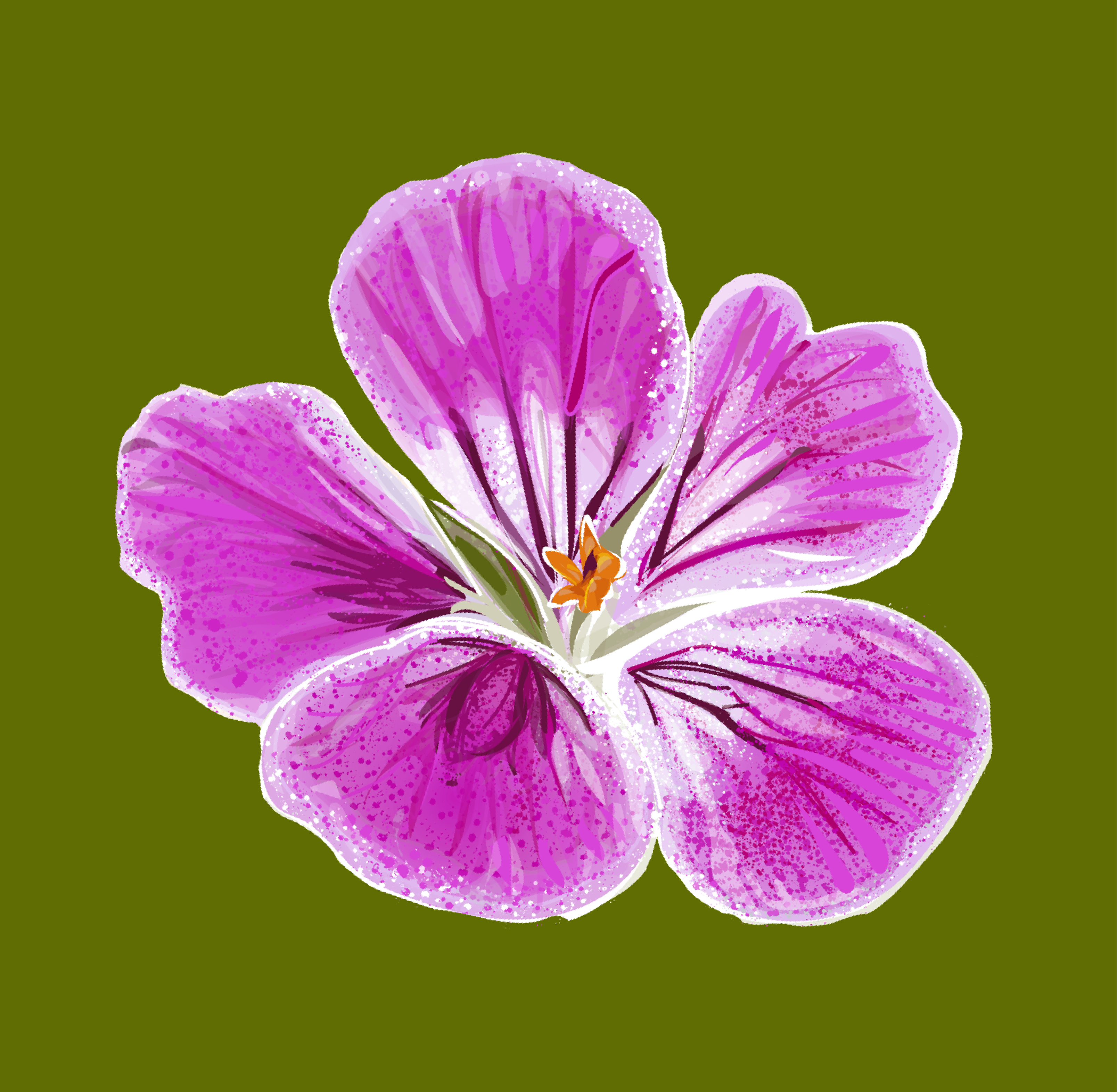 Caroline.png