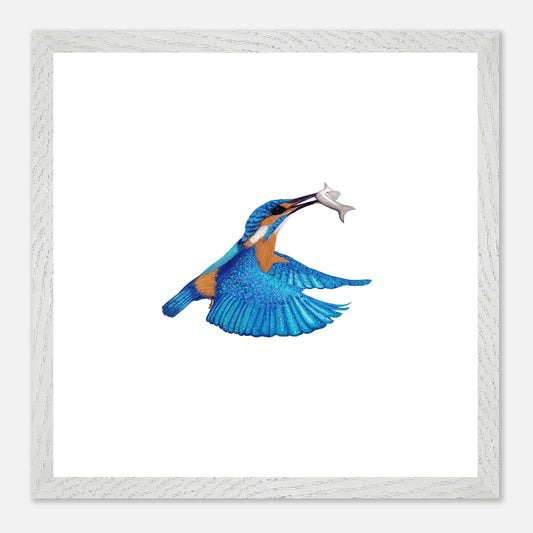 Framed square wall art featuring a digital illustration of  blue and orange kingfisher holding a white fish, centred on a white background with a light gray textured frame.
