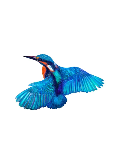 Blue bird in flight against a clear blue sky