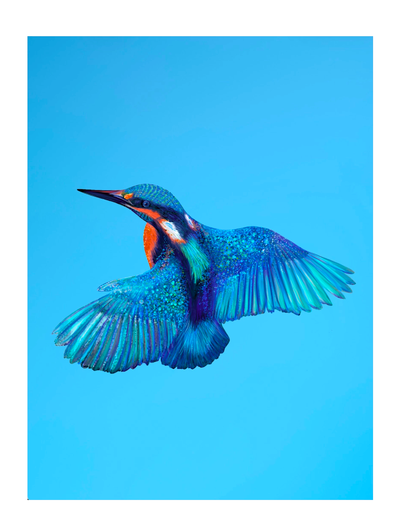 A5 Kingfisher notebook illustrated by Cathy Whittall Artist and made from recycled paper
