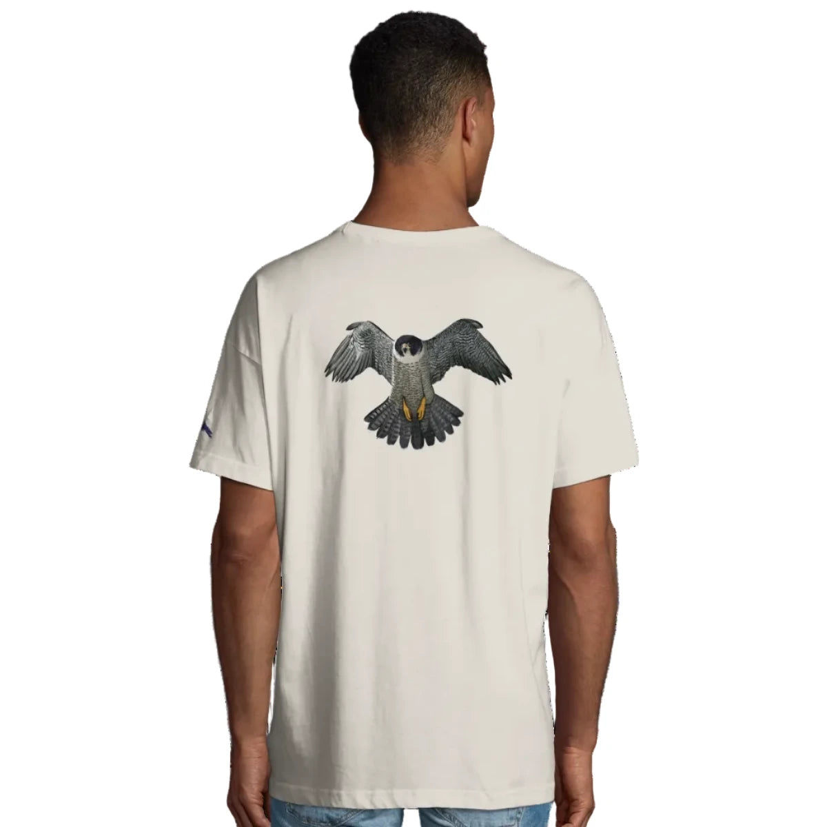 Peregrine Falcon T Shirt back