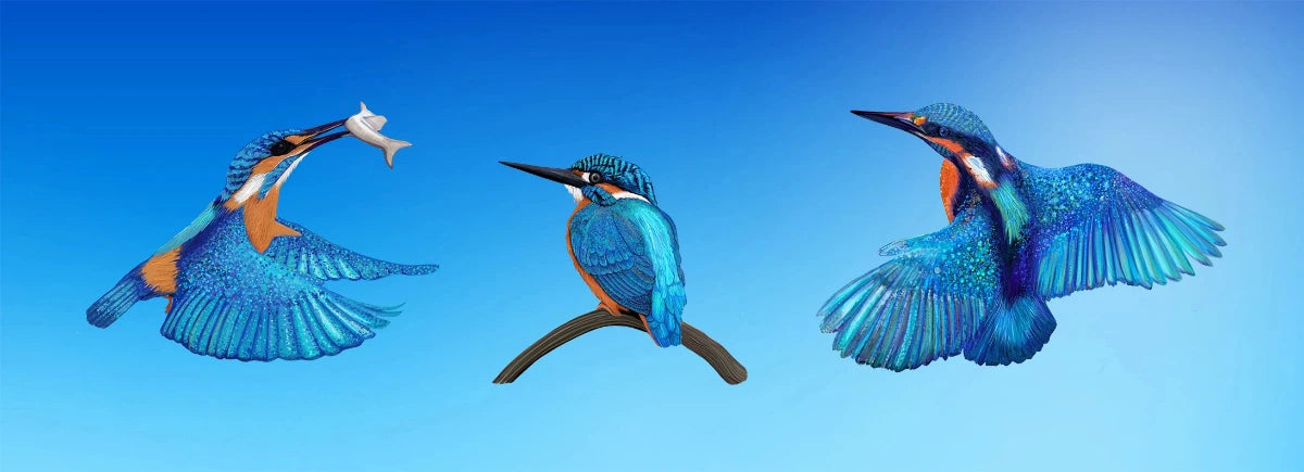 Vibrant kingfisher artwork: flying with fish, perched, and in flight against blue sky