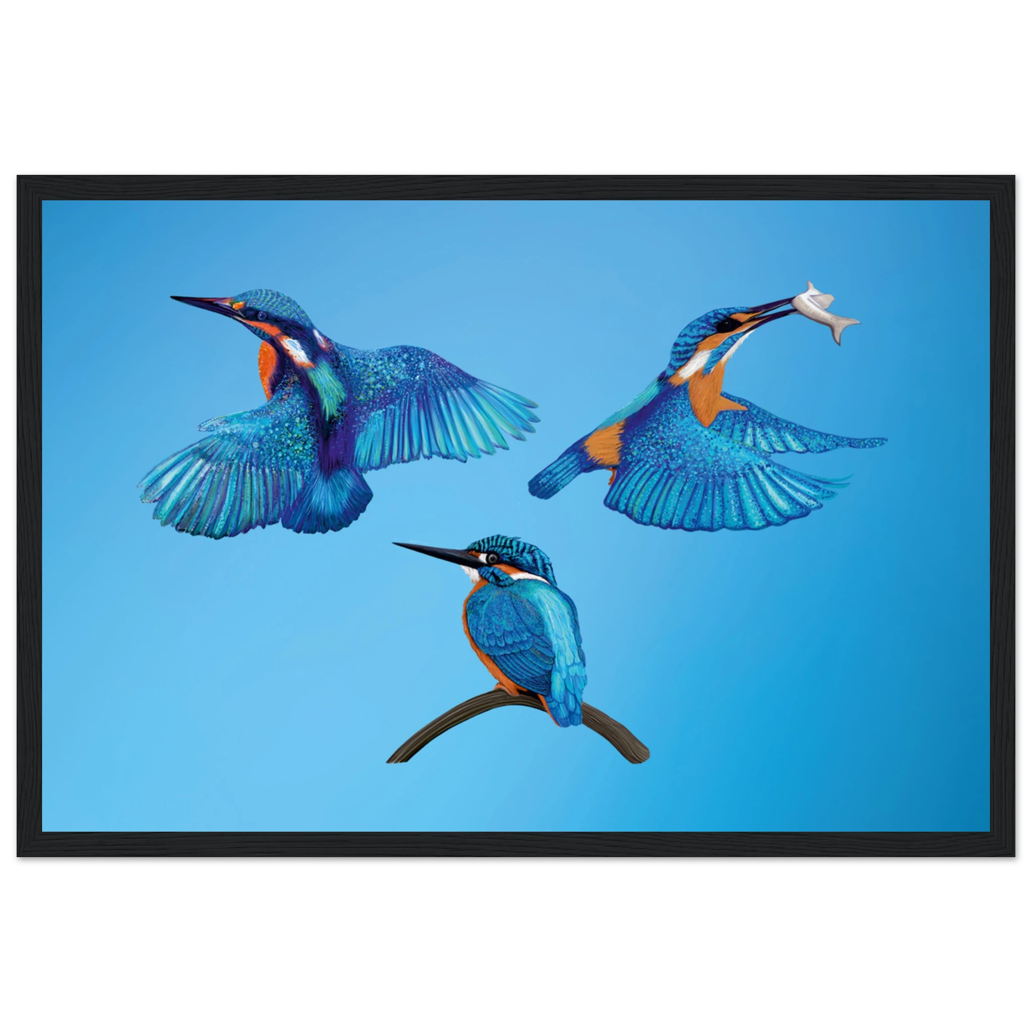 a40e009c-b590-4451-905c-3226175e3529