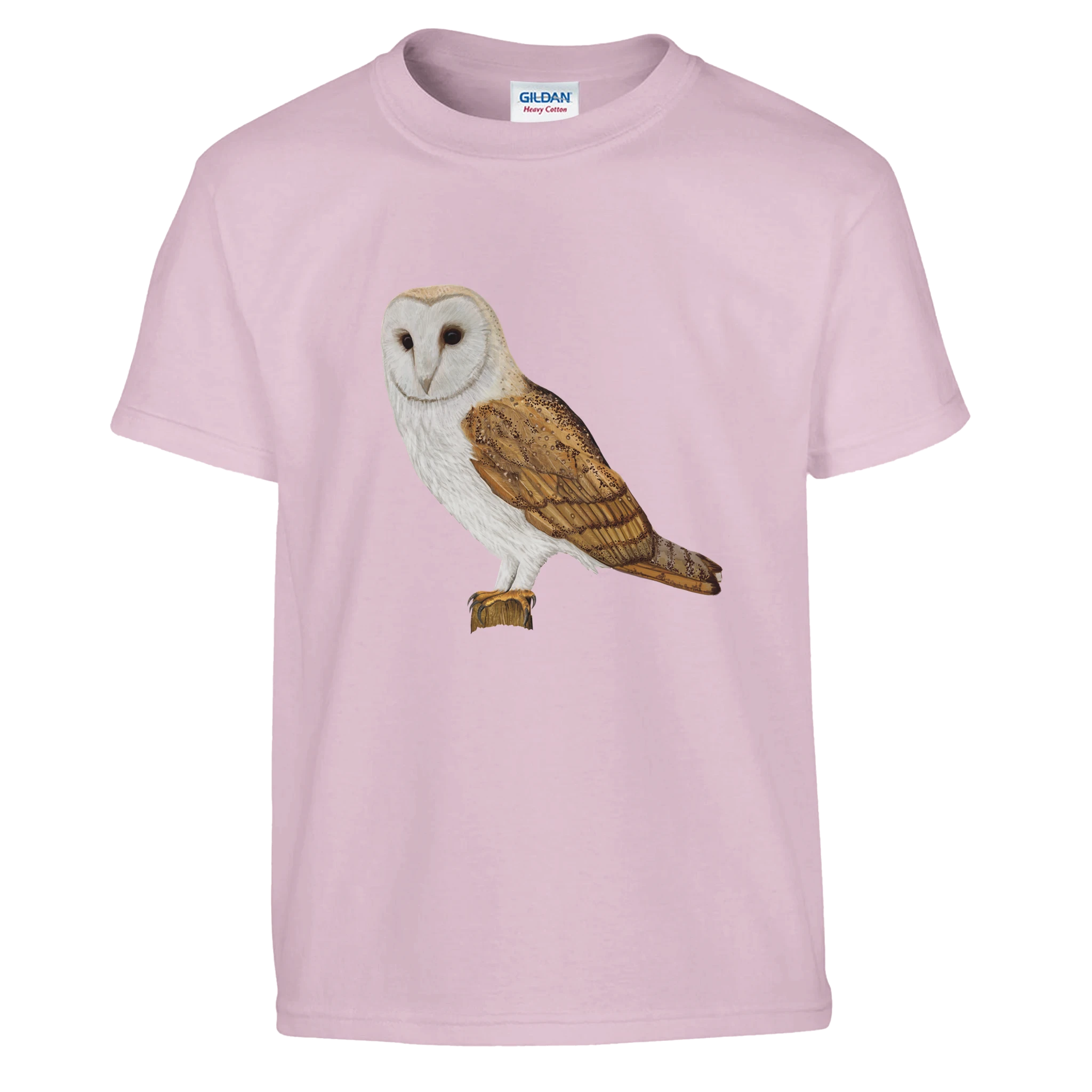 a8d9506d-3044-4a77-8970-77da8670f1e3