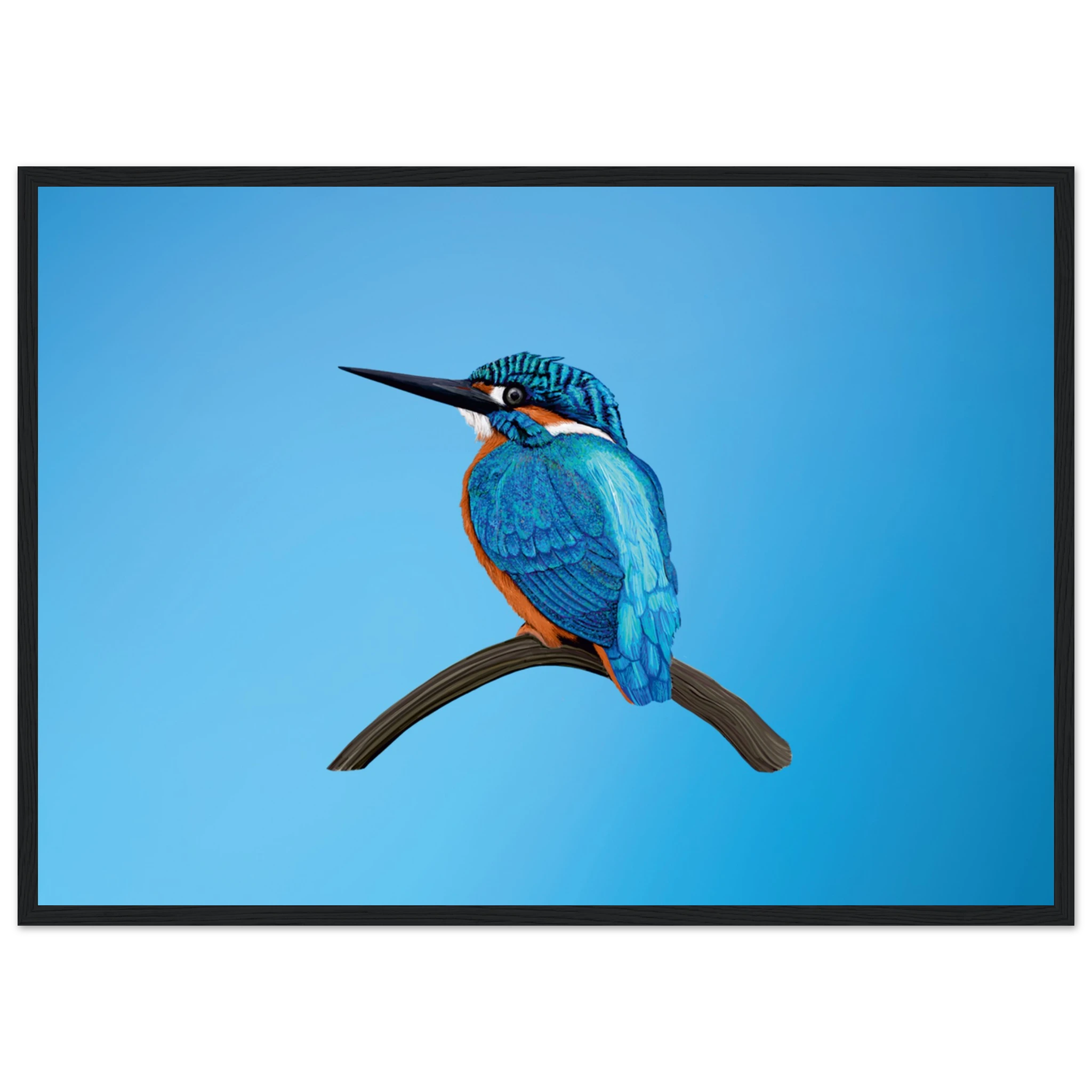 b1563fe4-fcf8-4dc5-9fb7-cb2c0becd3ba