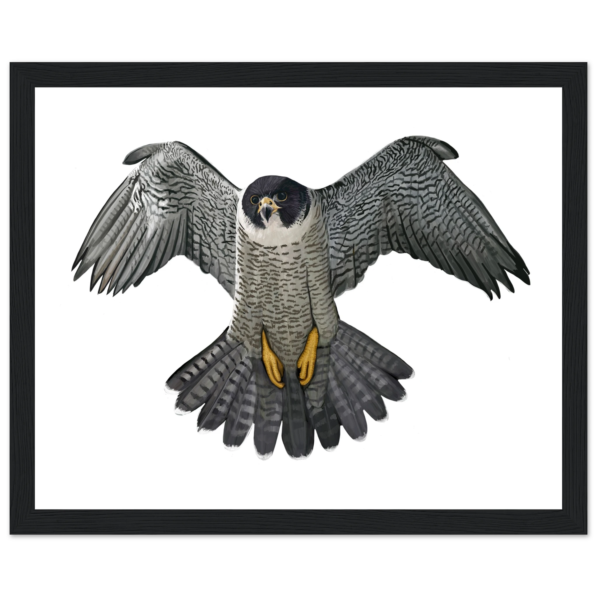 b2a5f336-4e51-4147-9afc-2da525189154