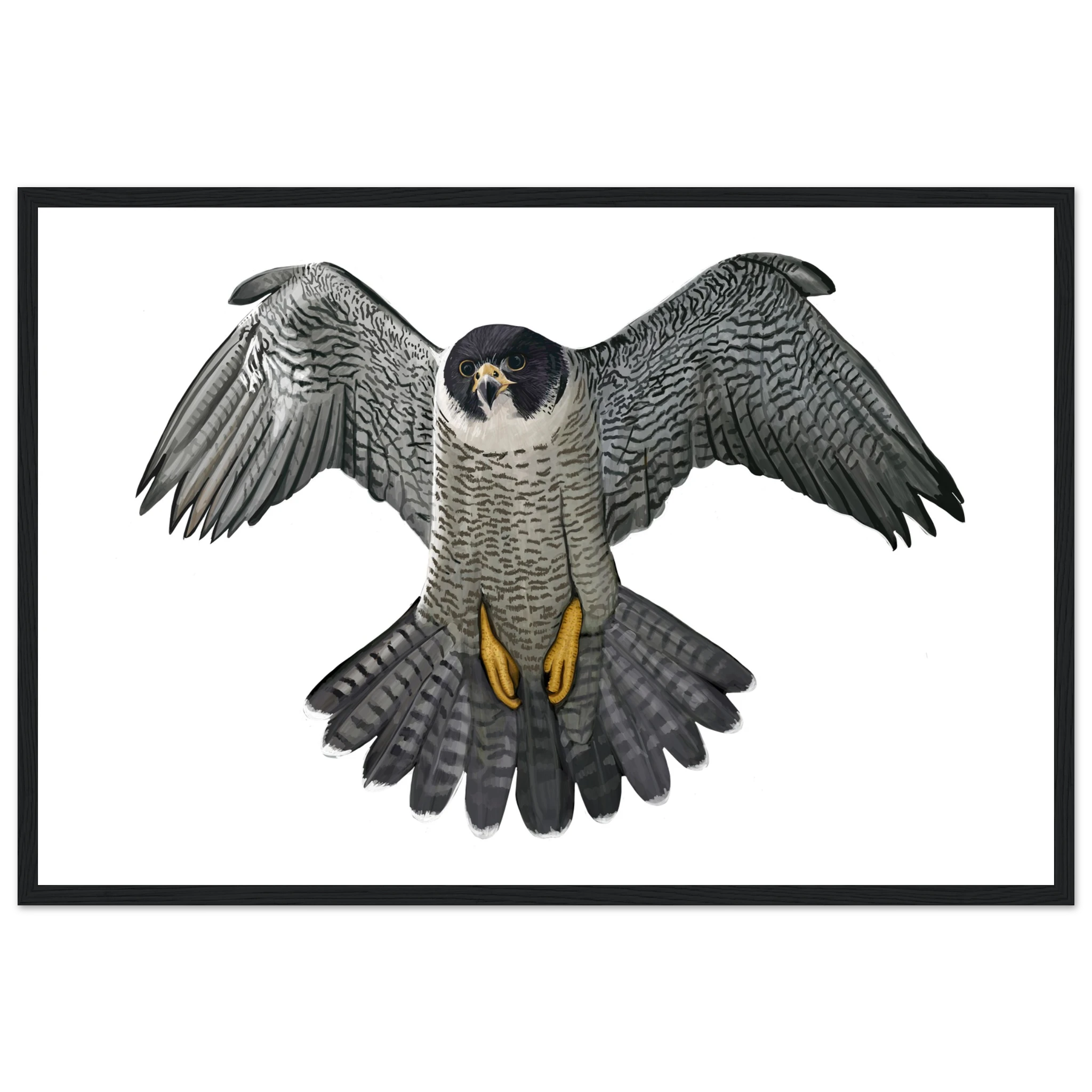 b944f609-87ff-4b36-b698-50def69646c5