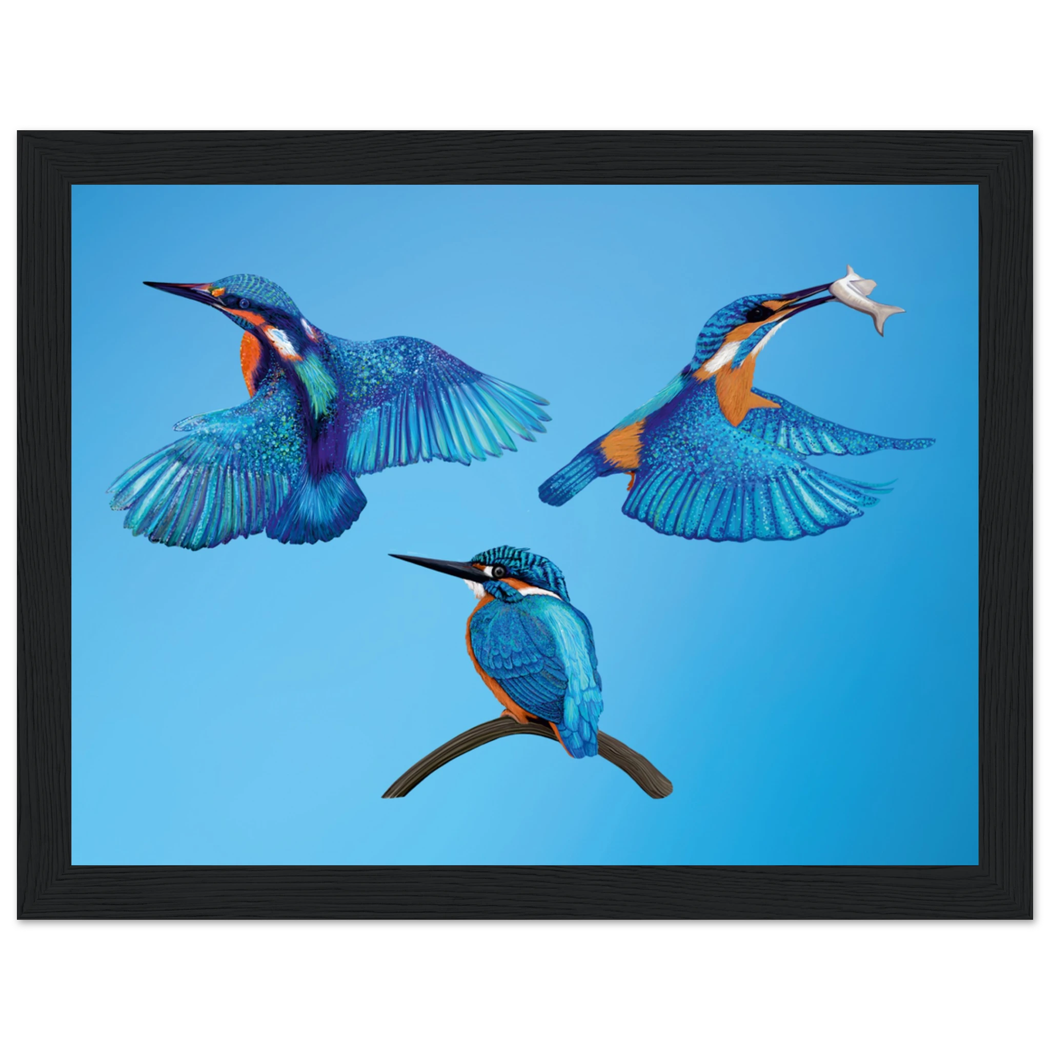 ddc6723e-3d5d-4bb9-b2b2-f8e327b13d47