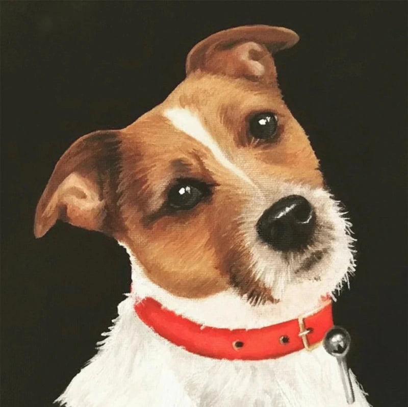 Jack Russell dog portrait with red collar, digital wildlife art by Cathy Whittall