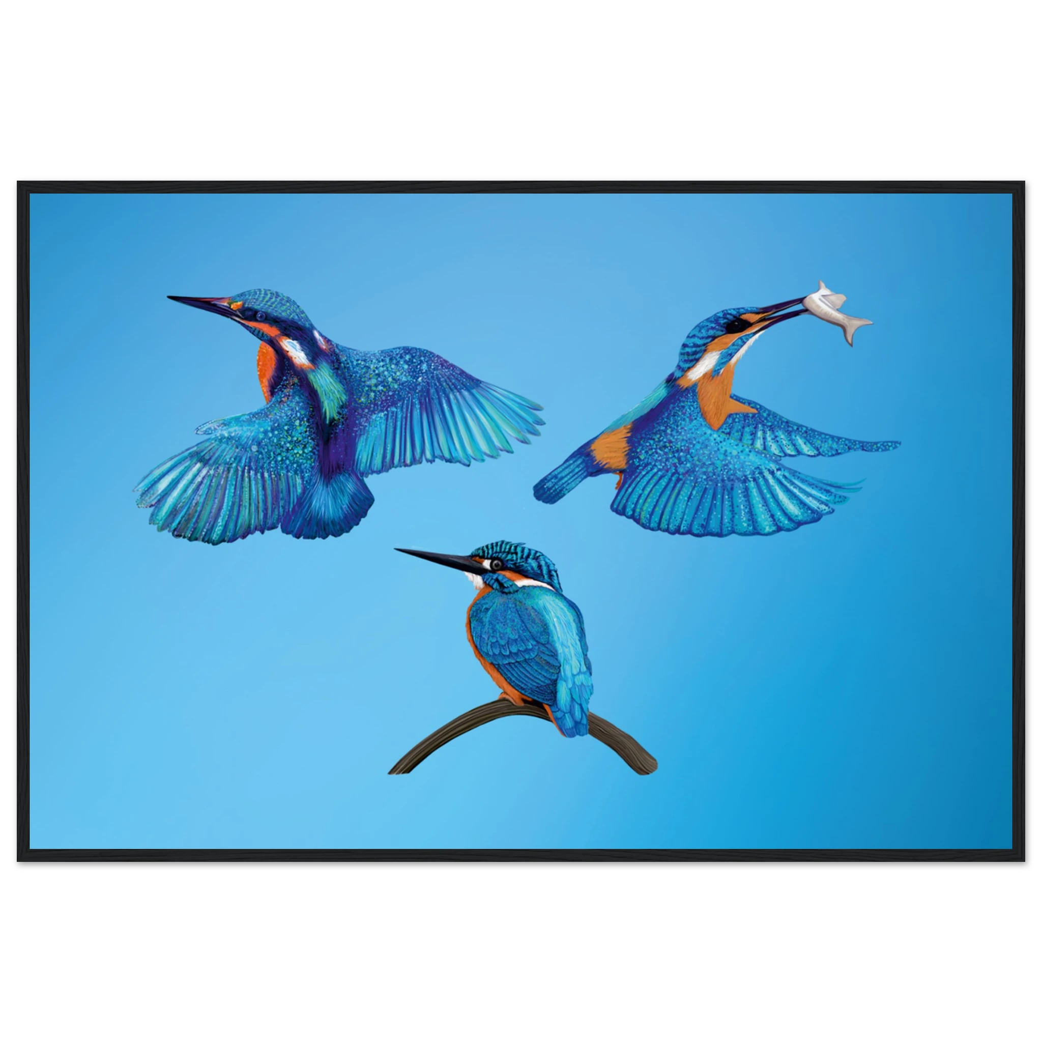 e11f4a46-58ba-469d-a4cb-c02794337320