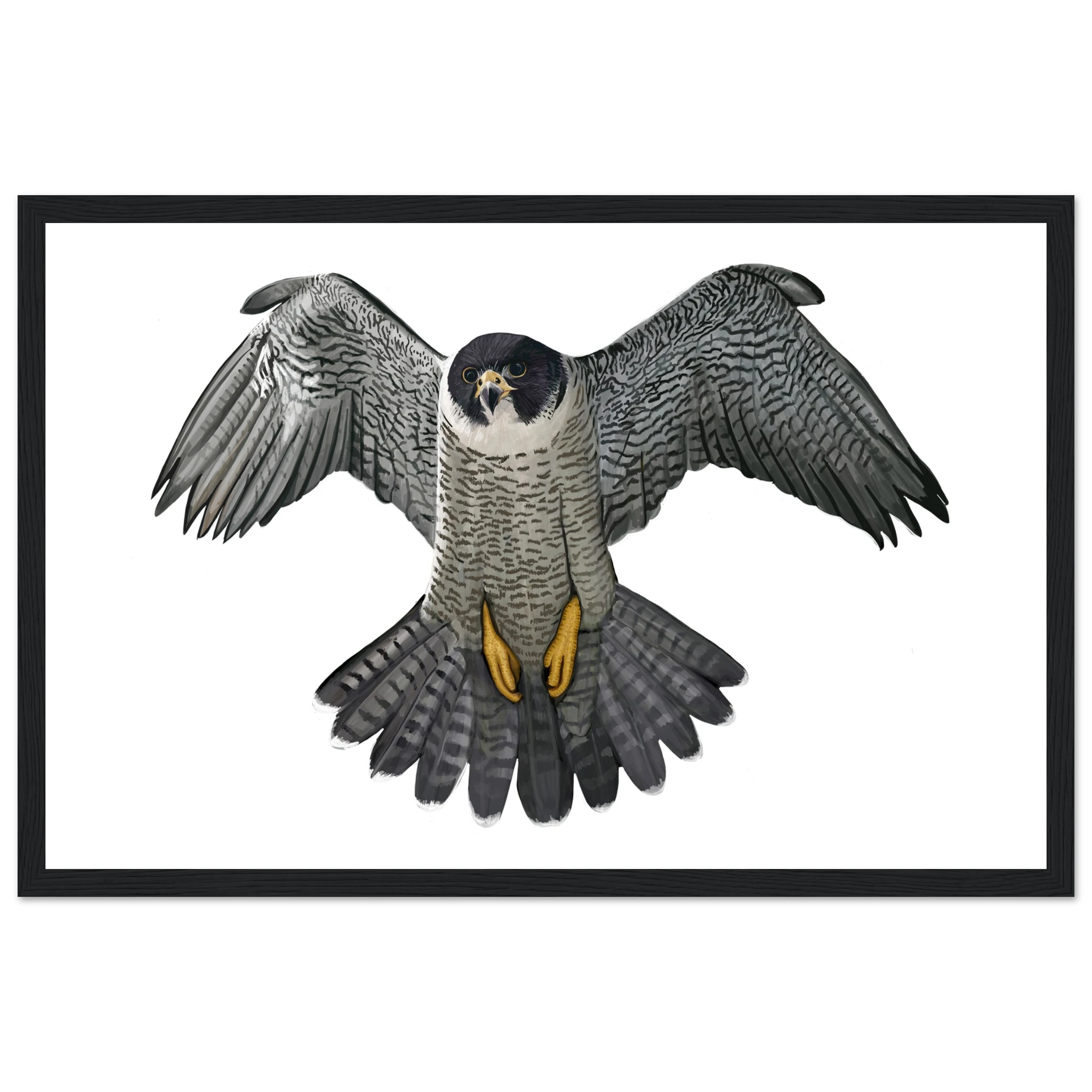 e54c9510-e419-41e7-baaf-067e27b53f2a