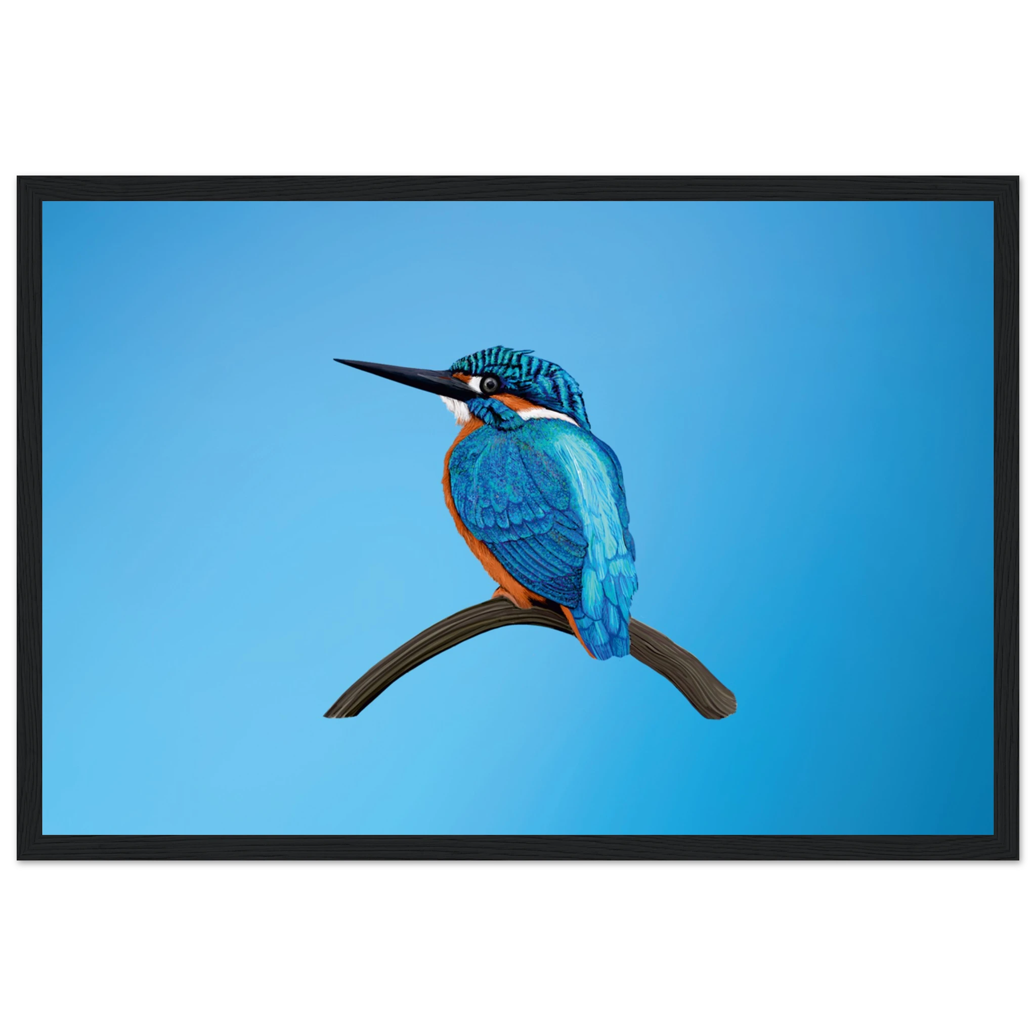 edb58a8f-49f7-4a4a-83b1-78c5b752385a