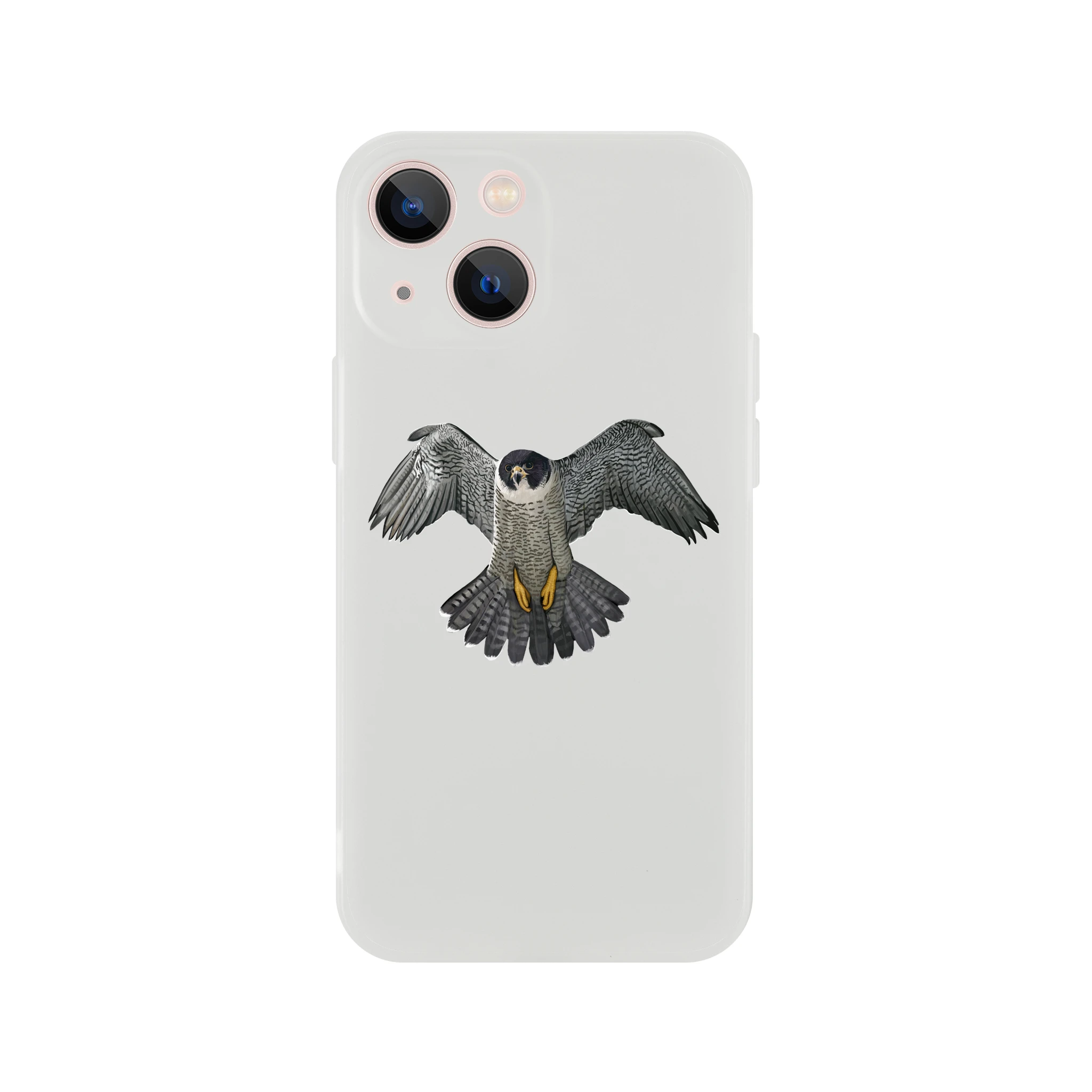 ee06ceb9-ce80-444e-a792-dc7195016a34