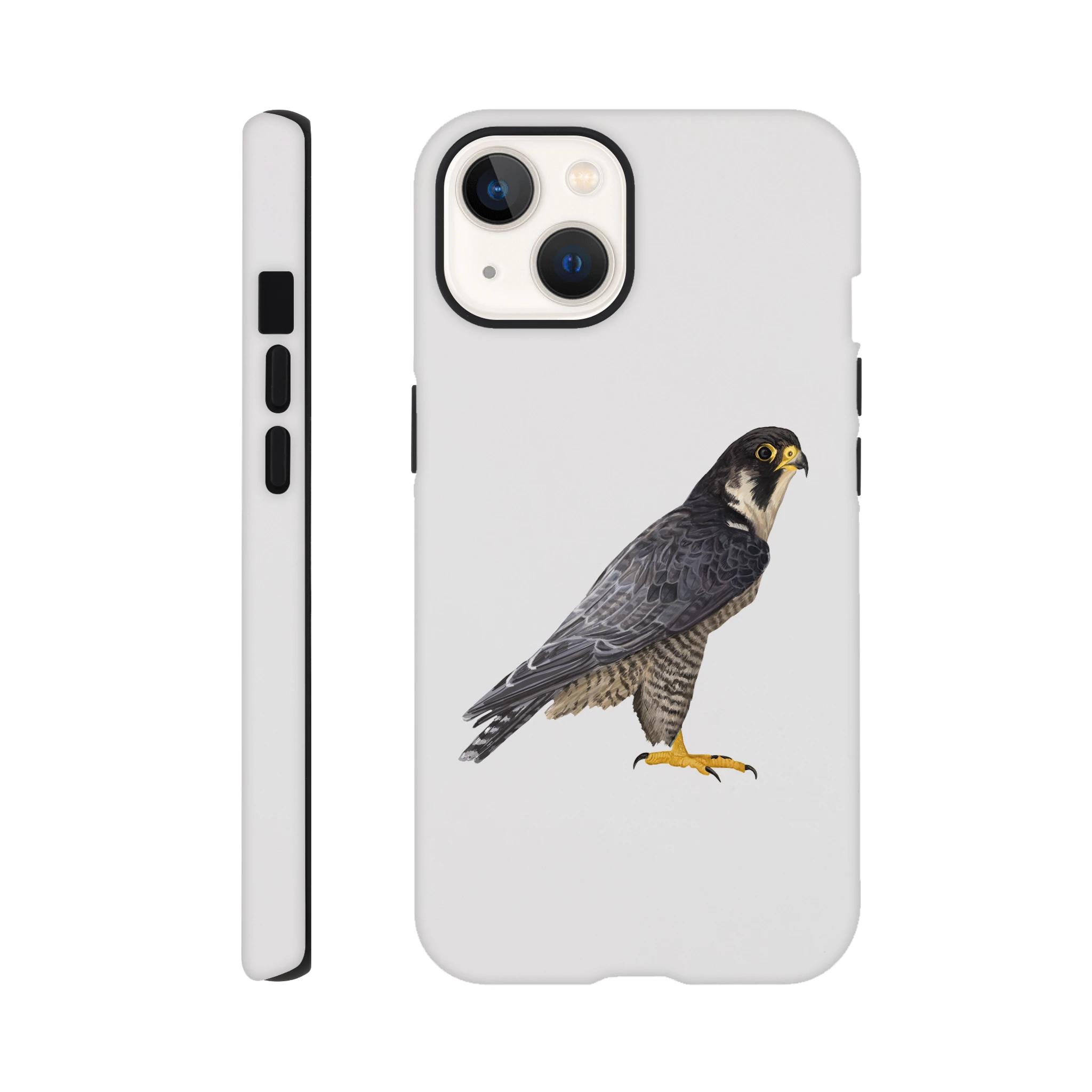 f46da5c9-a2f8-4513-a8c4-e83b2f43315e