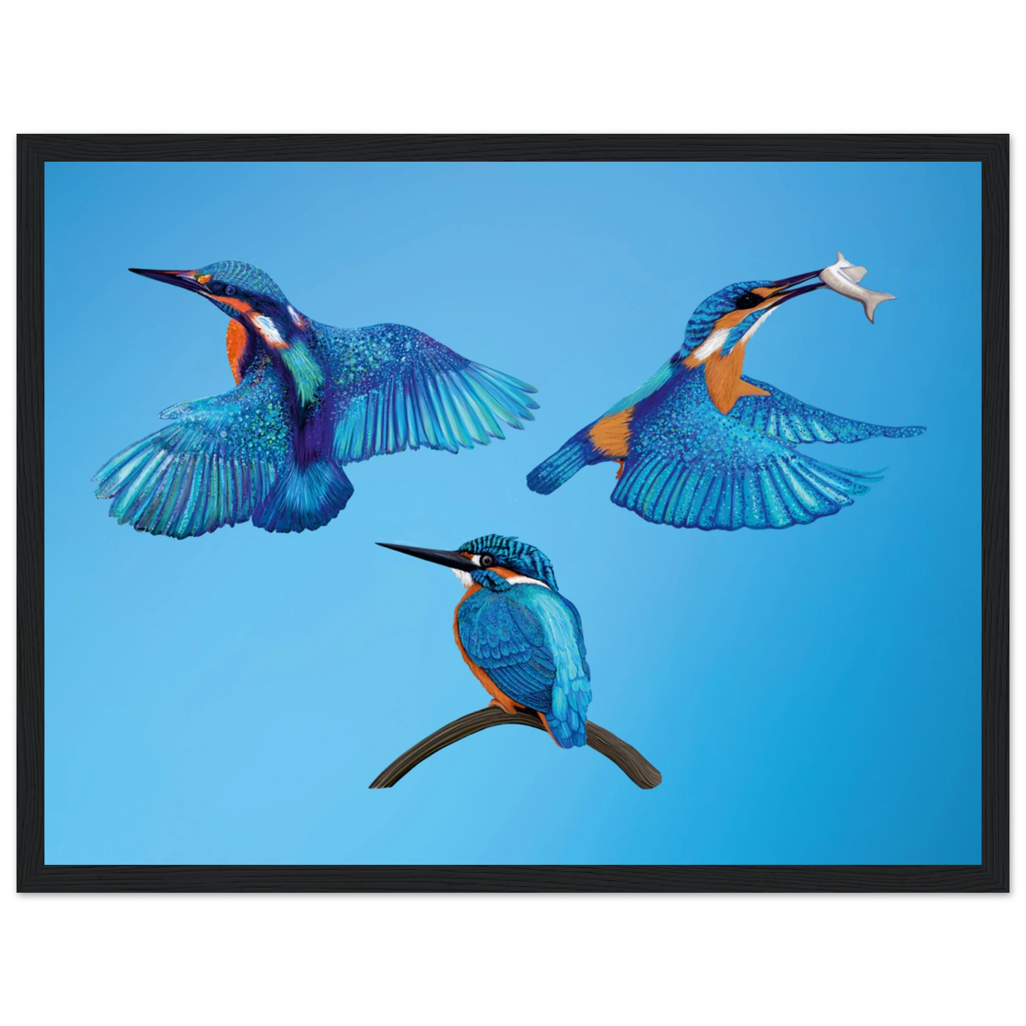 fbbc4e9d-a11e-448b-aca0-8be3decd7e4d