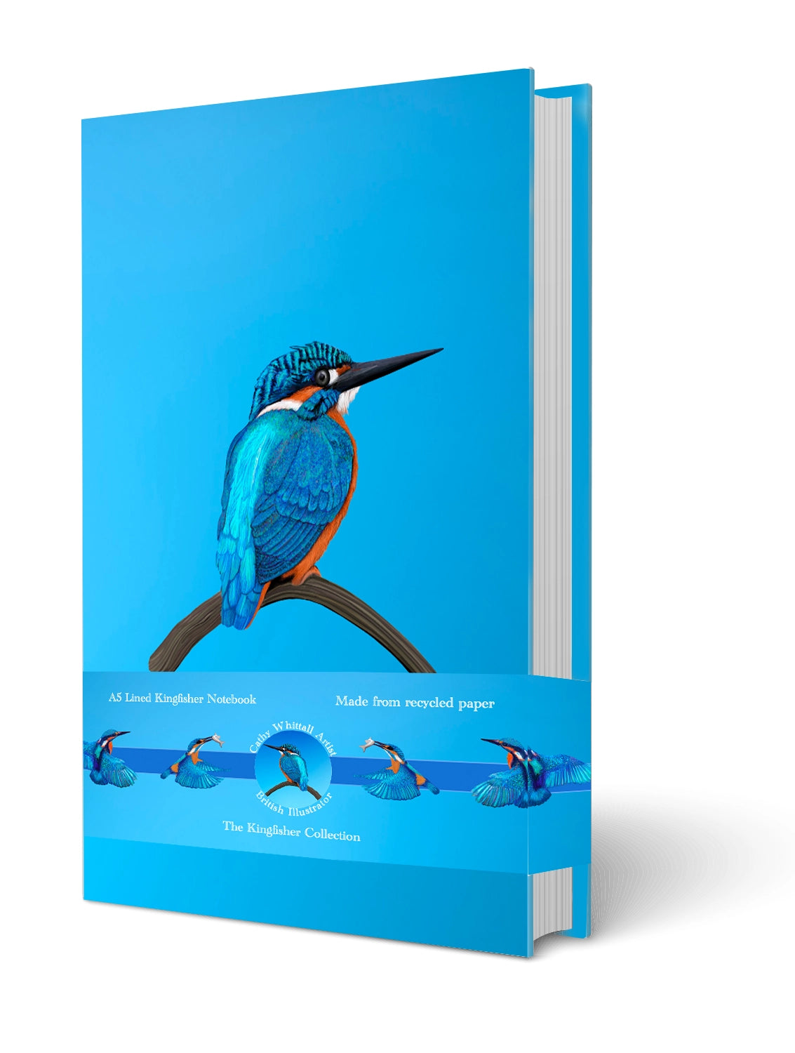 Blue book cover with a kingfisher illustration on a white background