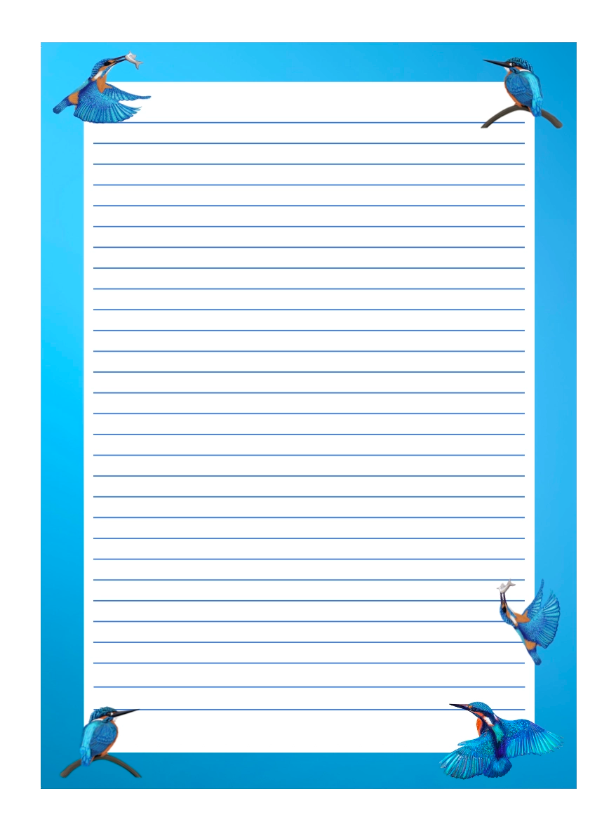 A5 Kingfisher notebook illustrated by Cathy Whittall and made from recycled paper