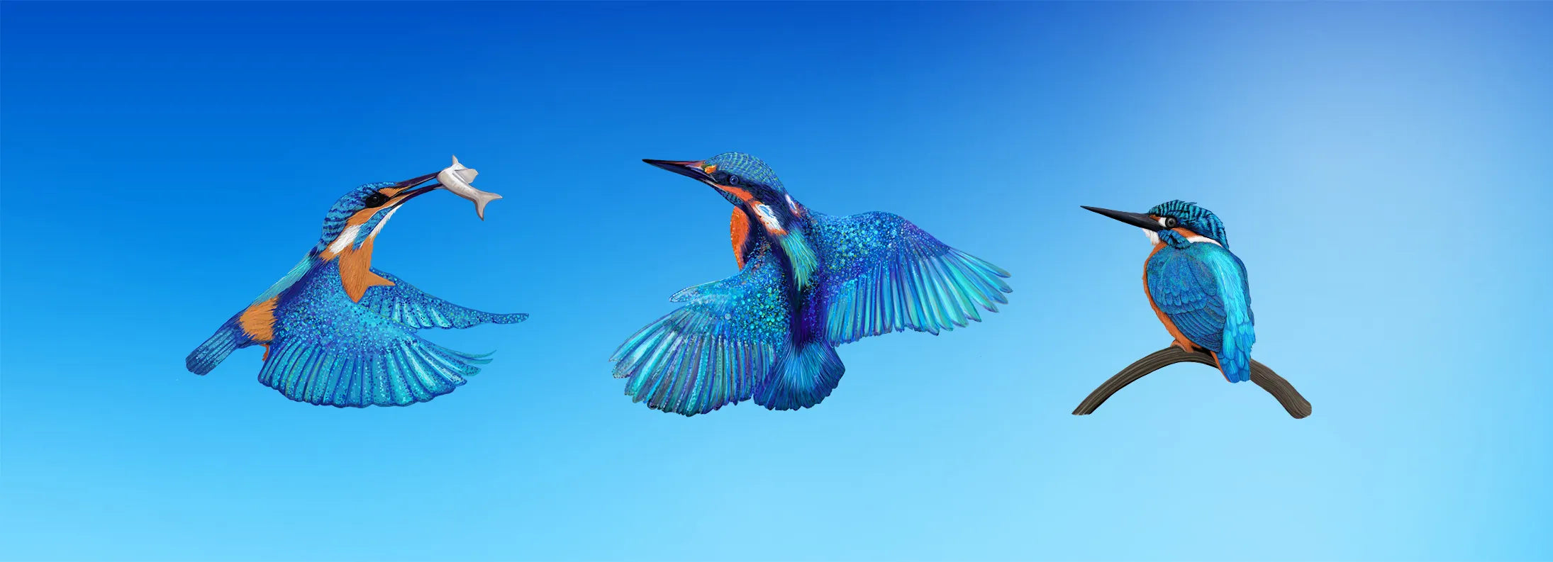 Vibrant kingfisher artwork: flying, catching fish, perched on branch against blue sky