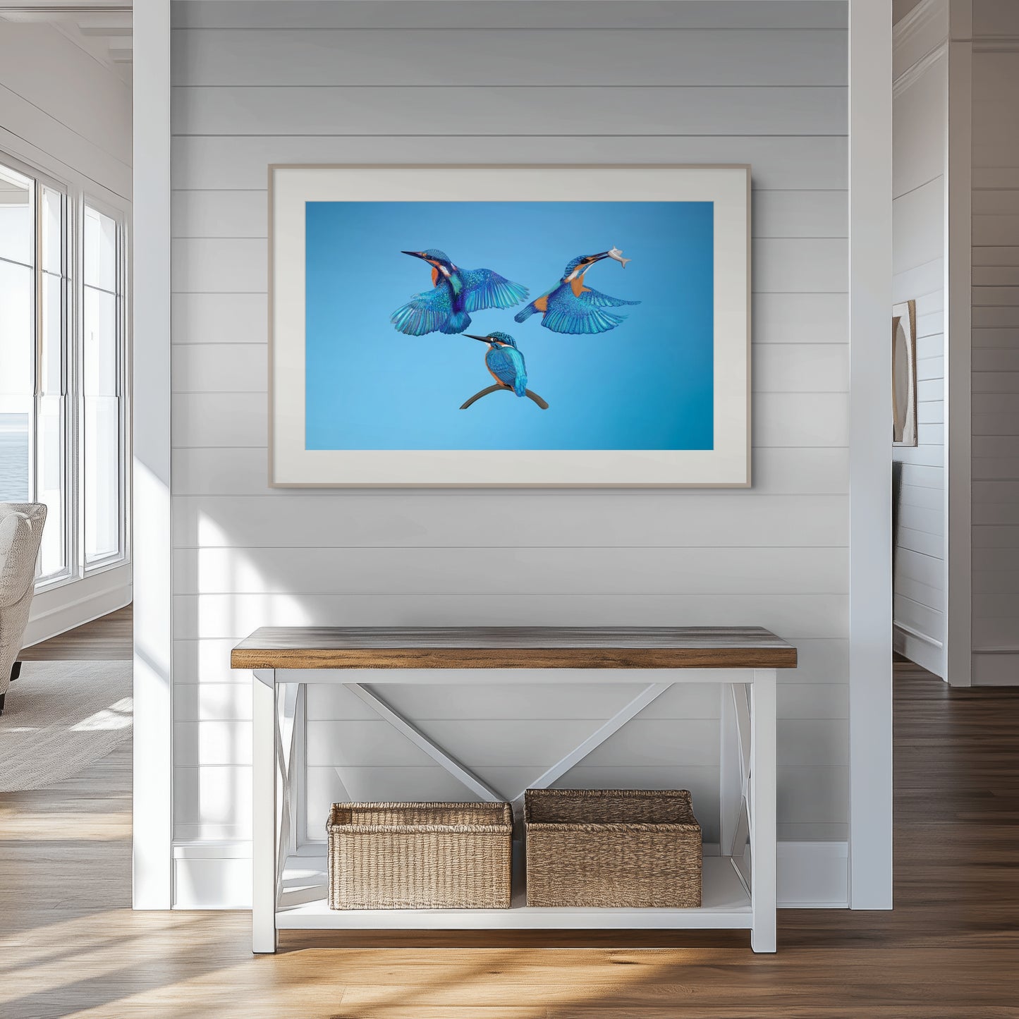Trio of Kingfishers Fine Art Poster