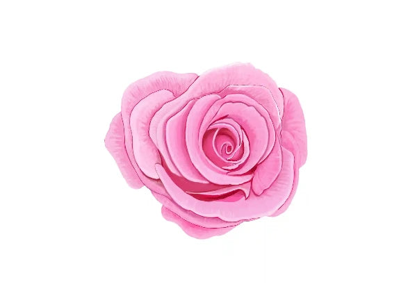 A single pink rose flower centered on a plain white background.